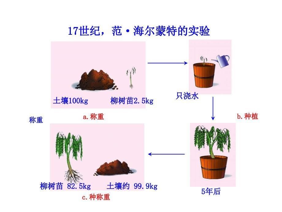 第一节植物光合作用的发现_第5页