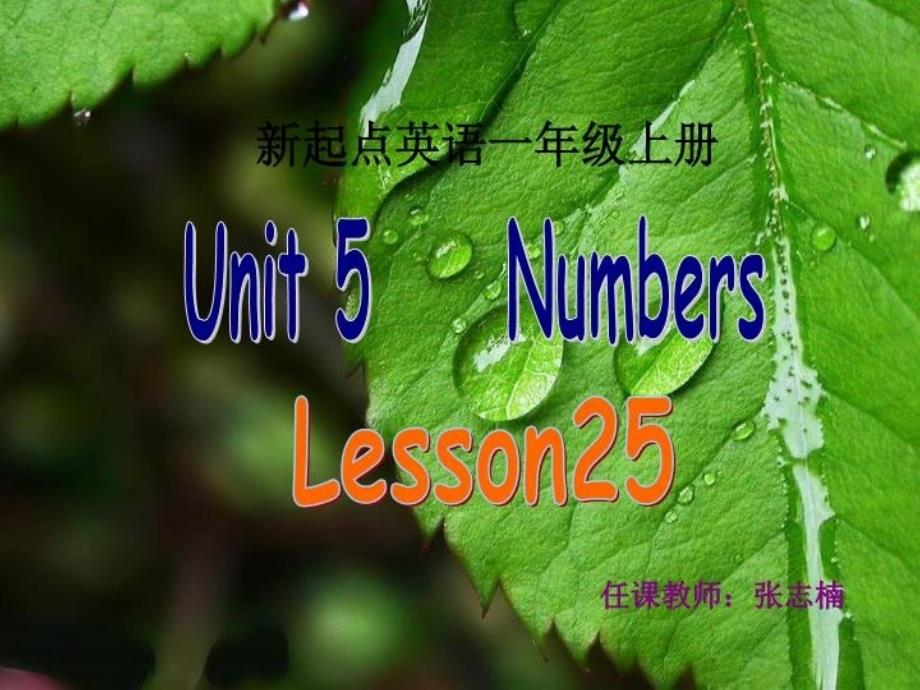 人教版新起点英语一上Unit5NumbersLesson2_第3页