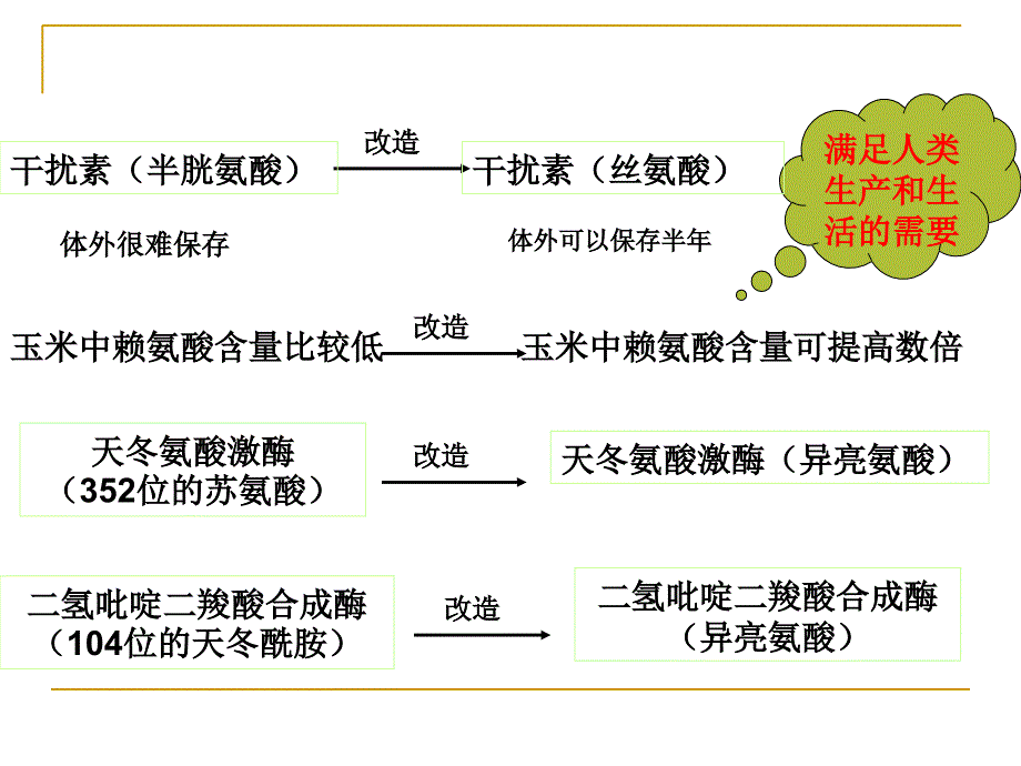 1.4蛋白质工程的崛起4_第4页