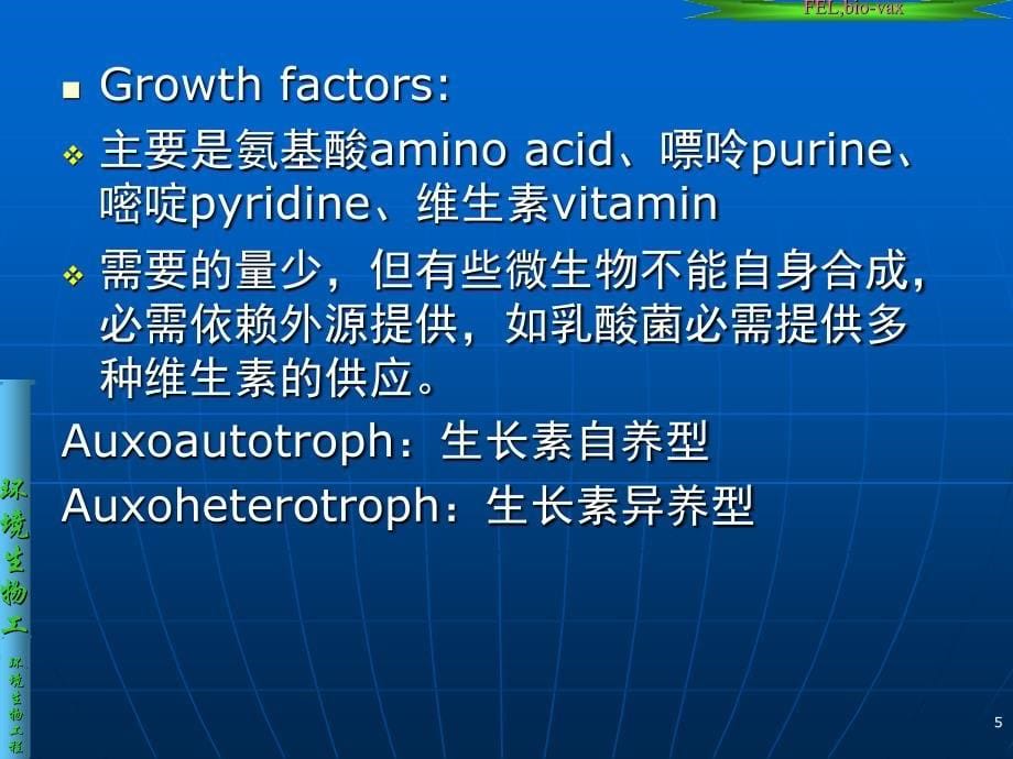 Chapter2生物降解的生物基础_第5页