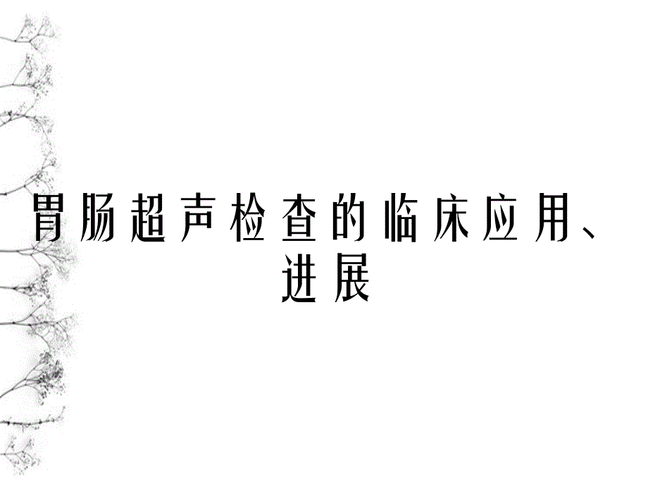 胃肠超声检查的临床应用进展_第1页