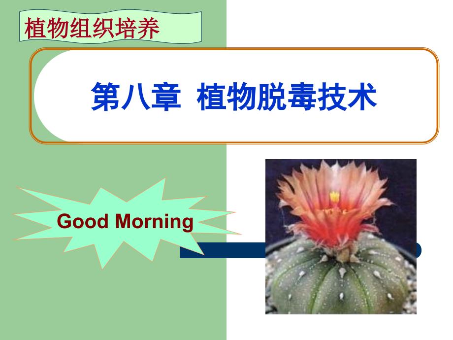 第八章 植物脱毒技术课件.ppt_第1页