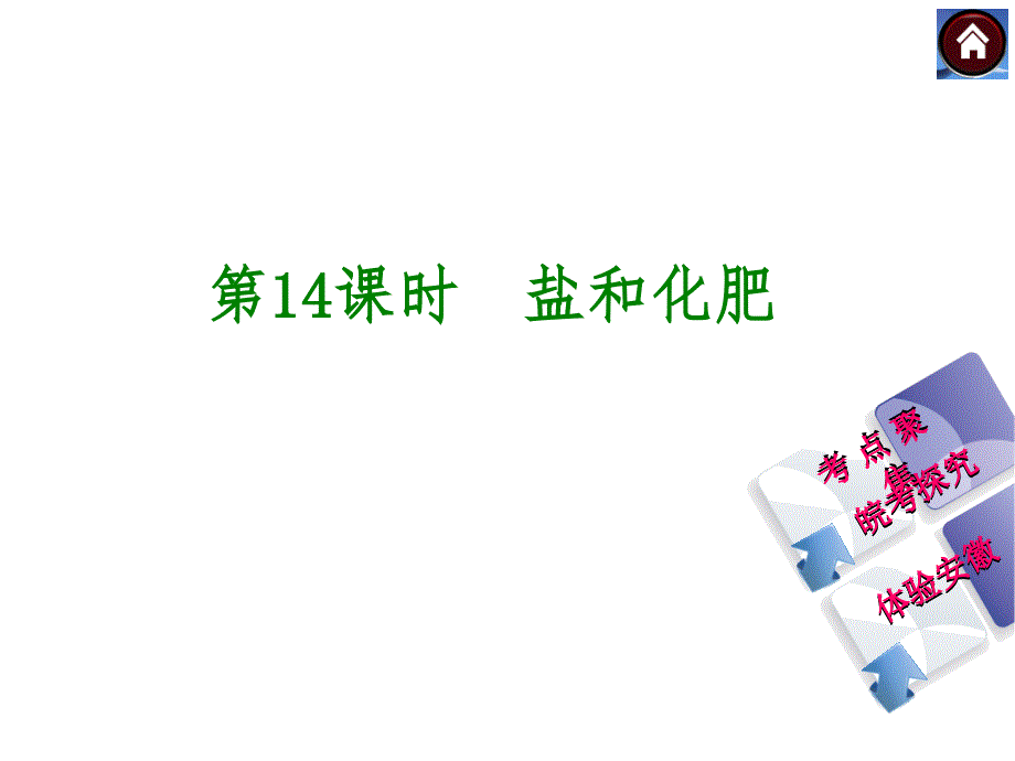 第14课时盐和化肥_第1页