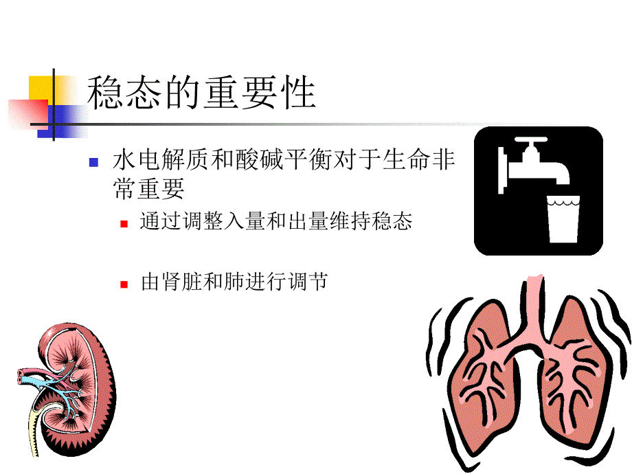 水电解质平衡PPT课件_第2页