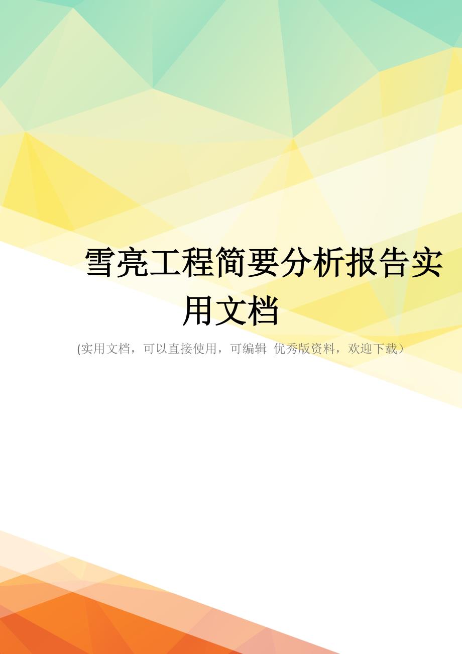 雪亮工程简要分析报告实用文档_第1页