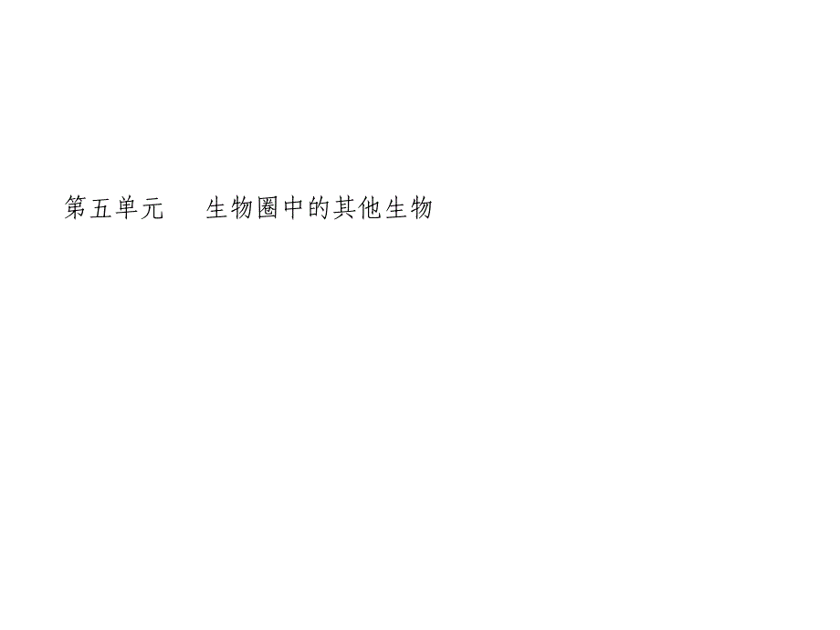 初中生物-第五单元-生物圈中的其他生物复习课件-新人教版_第3页