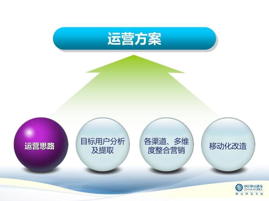 及信息业务营销案例手机游戏 最终版_第5页