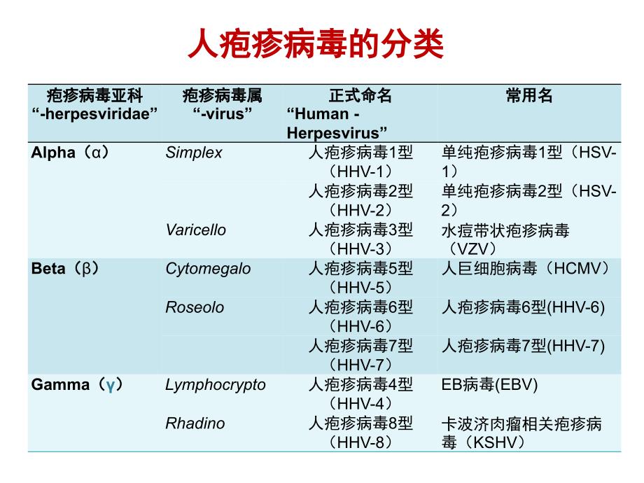 医学微生物学教学课件：疱疹病毒_第4页