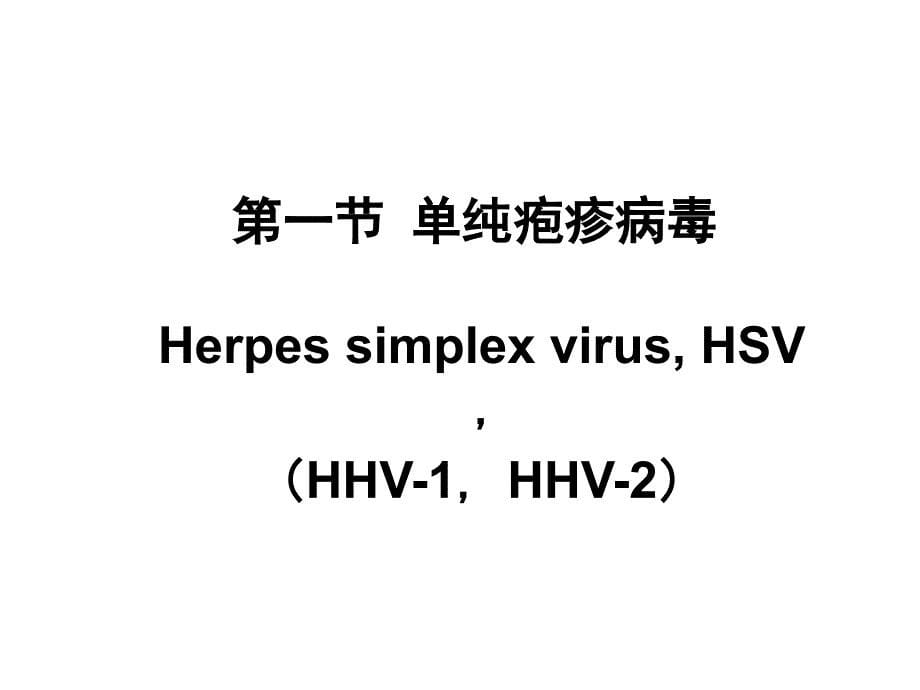 医学微生物学教学课件：疱疹病毒_第5页