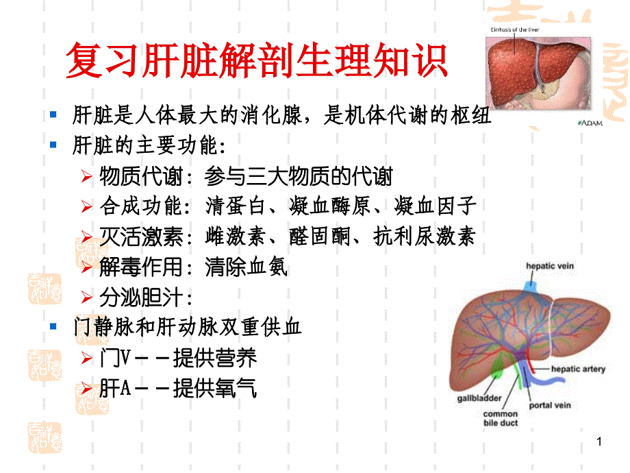 内科护理学肝硬化病人的护理PPT课件_第1页