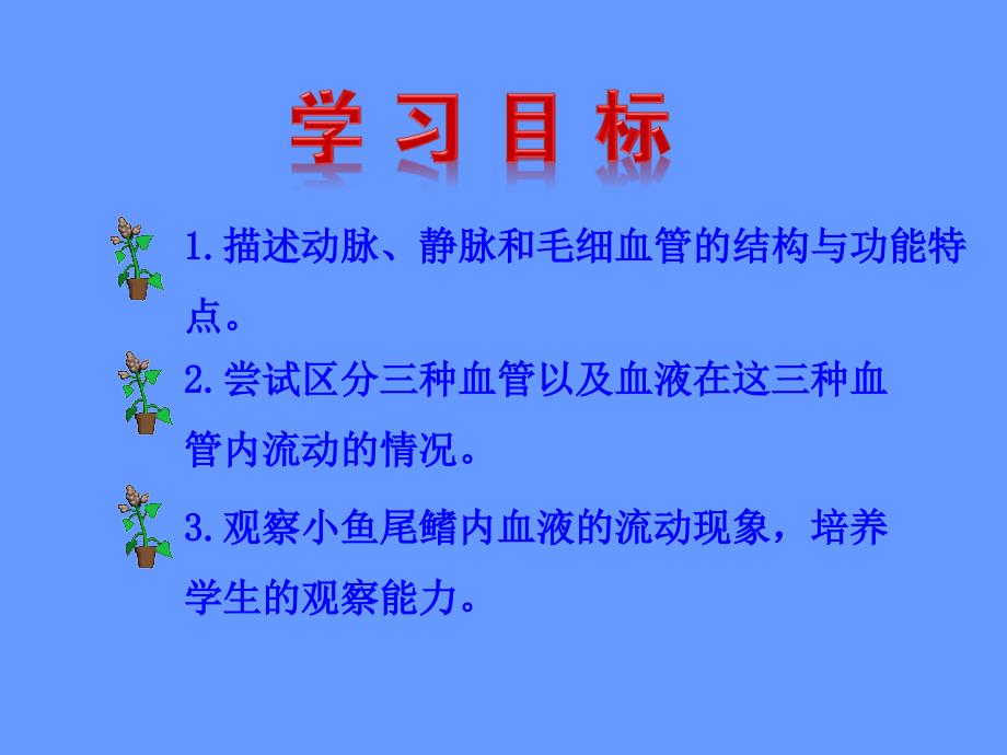 七下442血流的管道血管课件_第3页