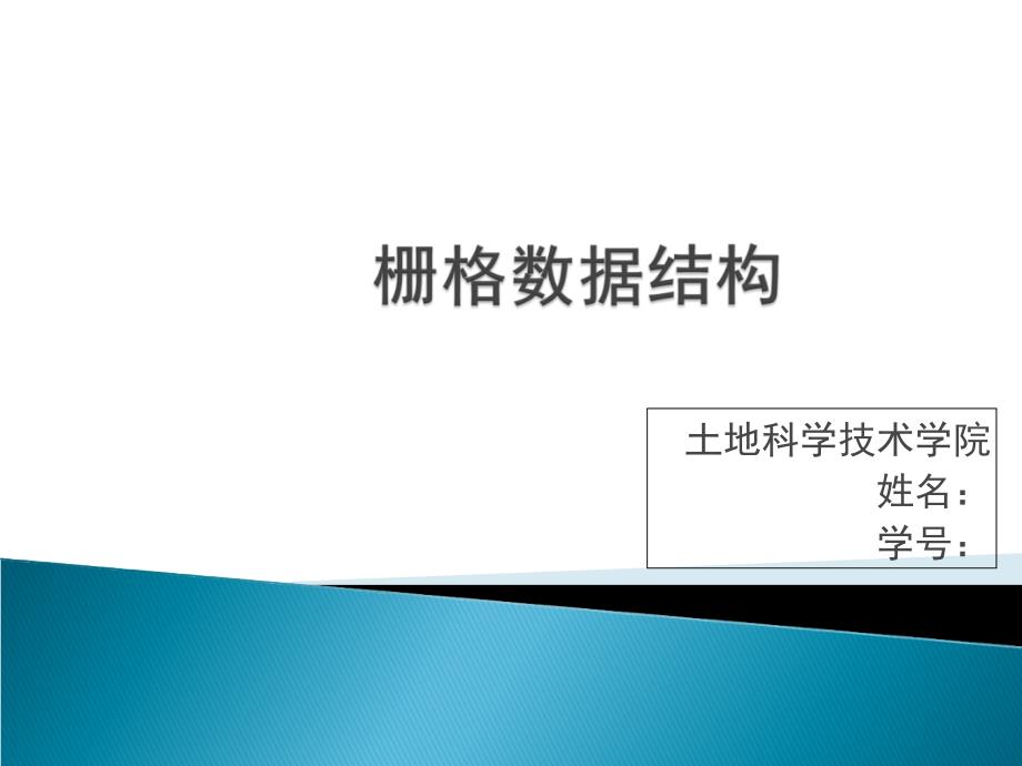 地理信息系统栅格数据_第1页