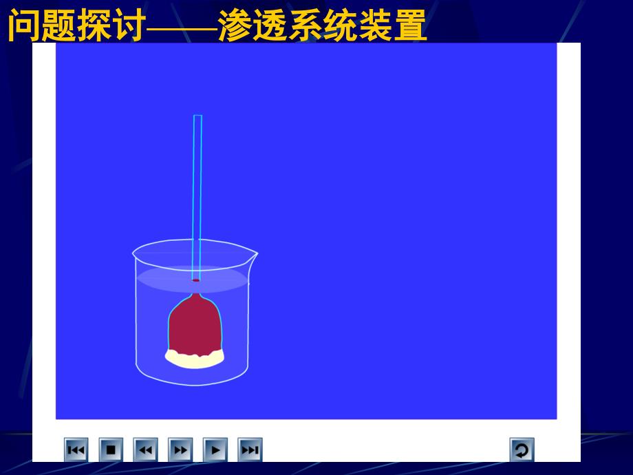 必修1第4章第1节物质跨膜运输的实例_第2页