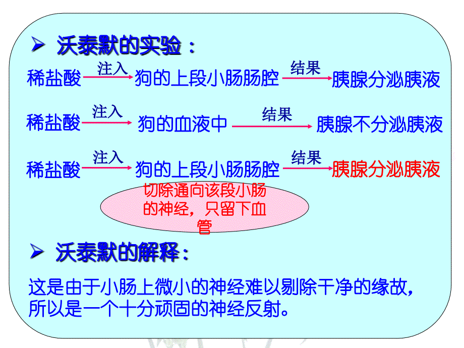 2-2通过激素的调节_第4页