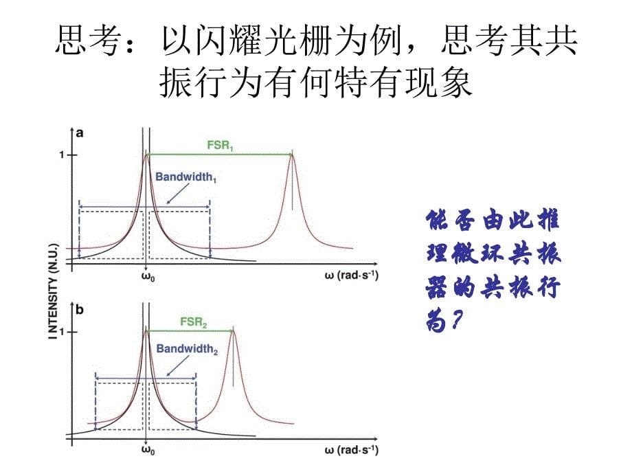 微环谐振器及相关器_第5页