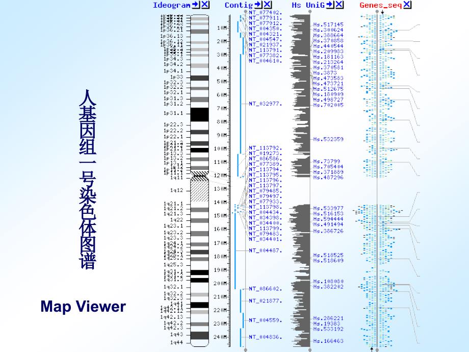 医学统计学杨超01简介02数据库检索2_第3页