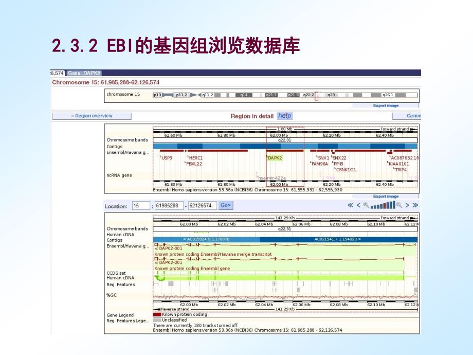 医学统计学杨超01简介02数据库检索2_第4页