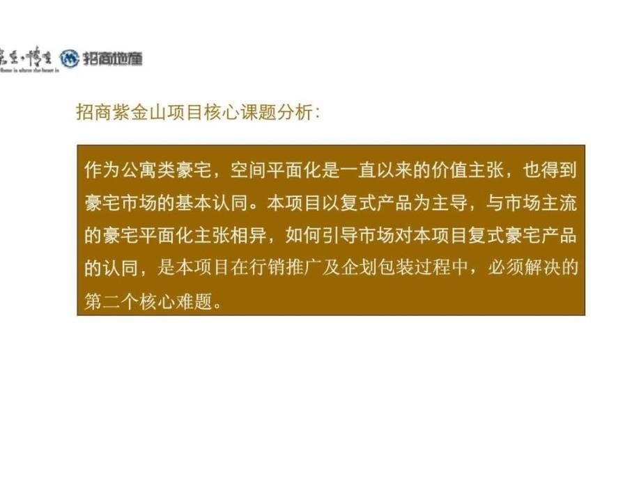 南京招商紫金山豪宅项目营销策略报告_第5页