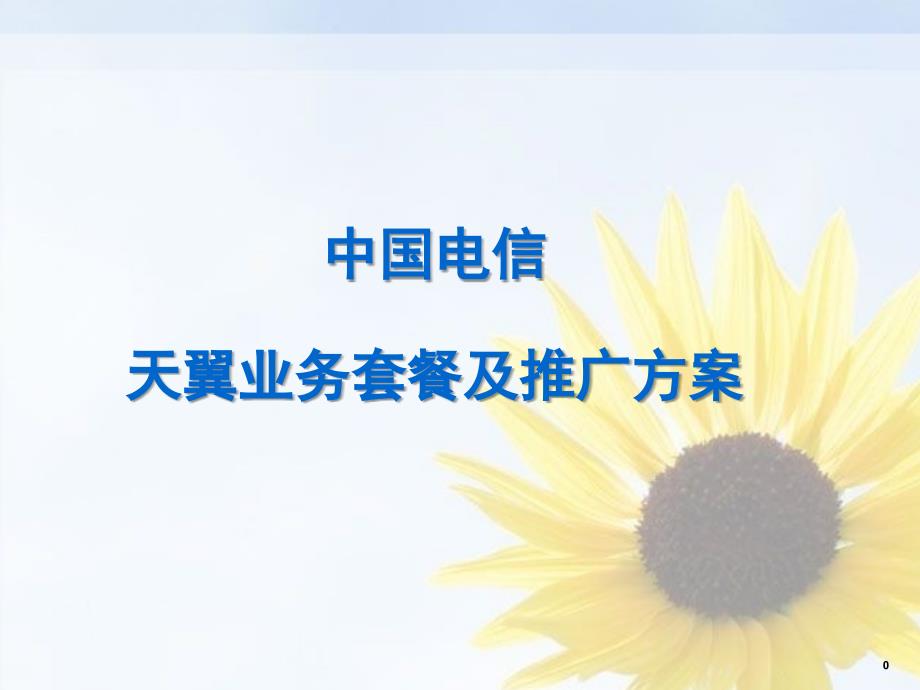 中国电信天翼业务套餐介绍及推广方案_第1页