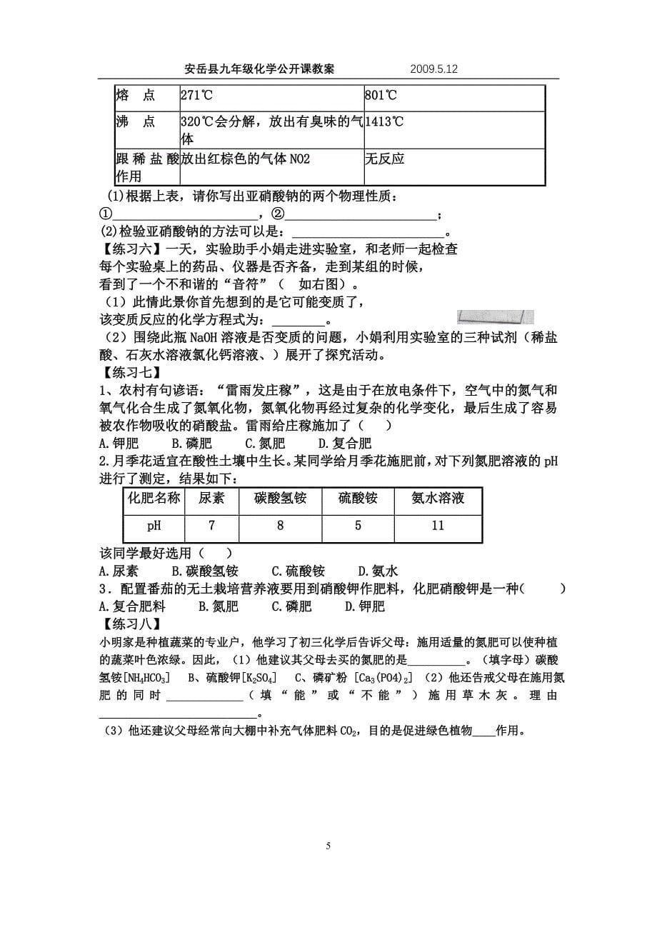 常见的盐、化肥(复习课教案).doc_第5页