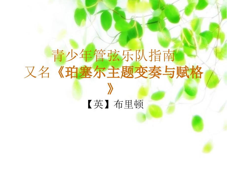 19青少年管弦乐队指南课件_第1页