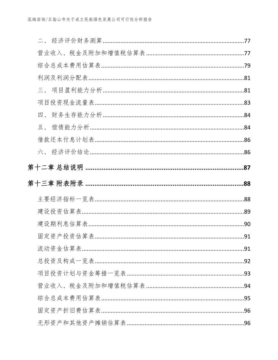 五指山市关于成立民航绿色发展公司可行性分析报告_第5页