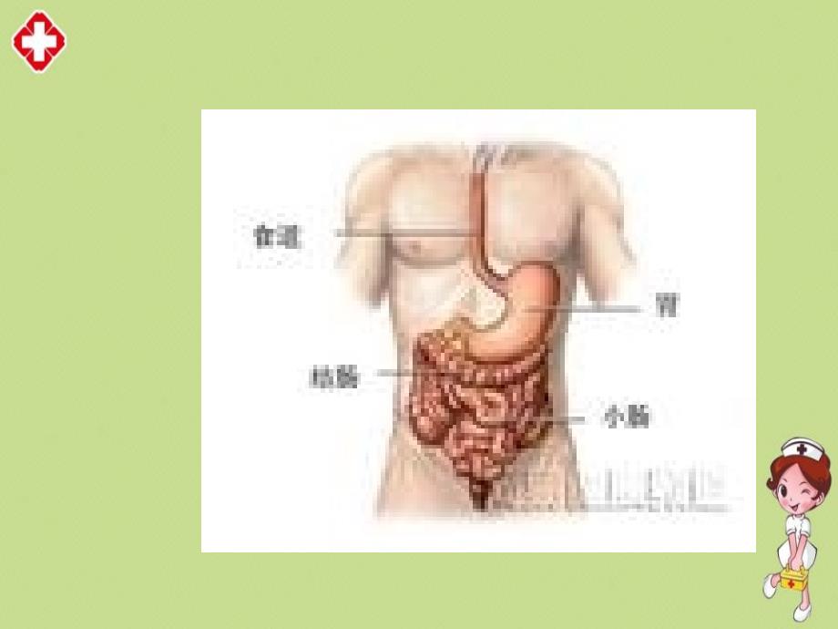 排便异常的护理精编ppt_第4页