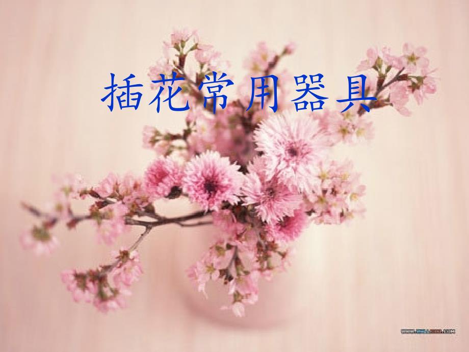 插花用具及使用说明_第1页