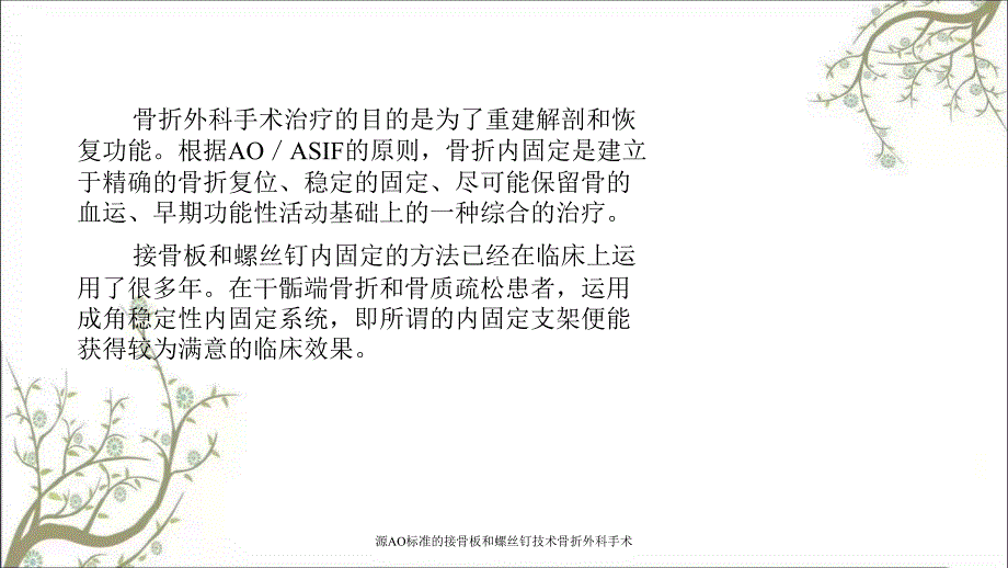 源AO标准的接骨板和螺丝钉技术骨折外科手术_第2页