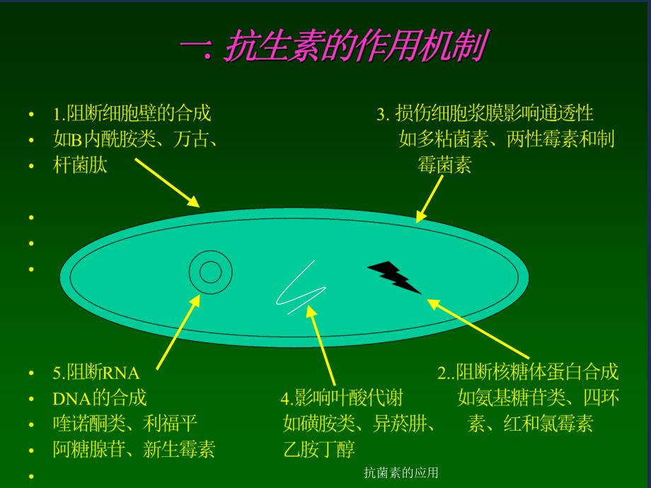 抗菌素的应用课件_第2页