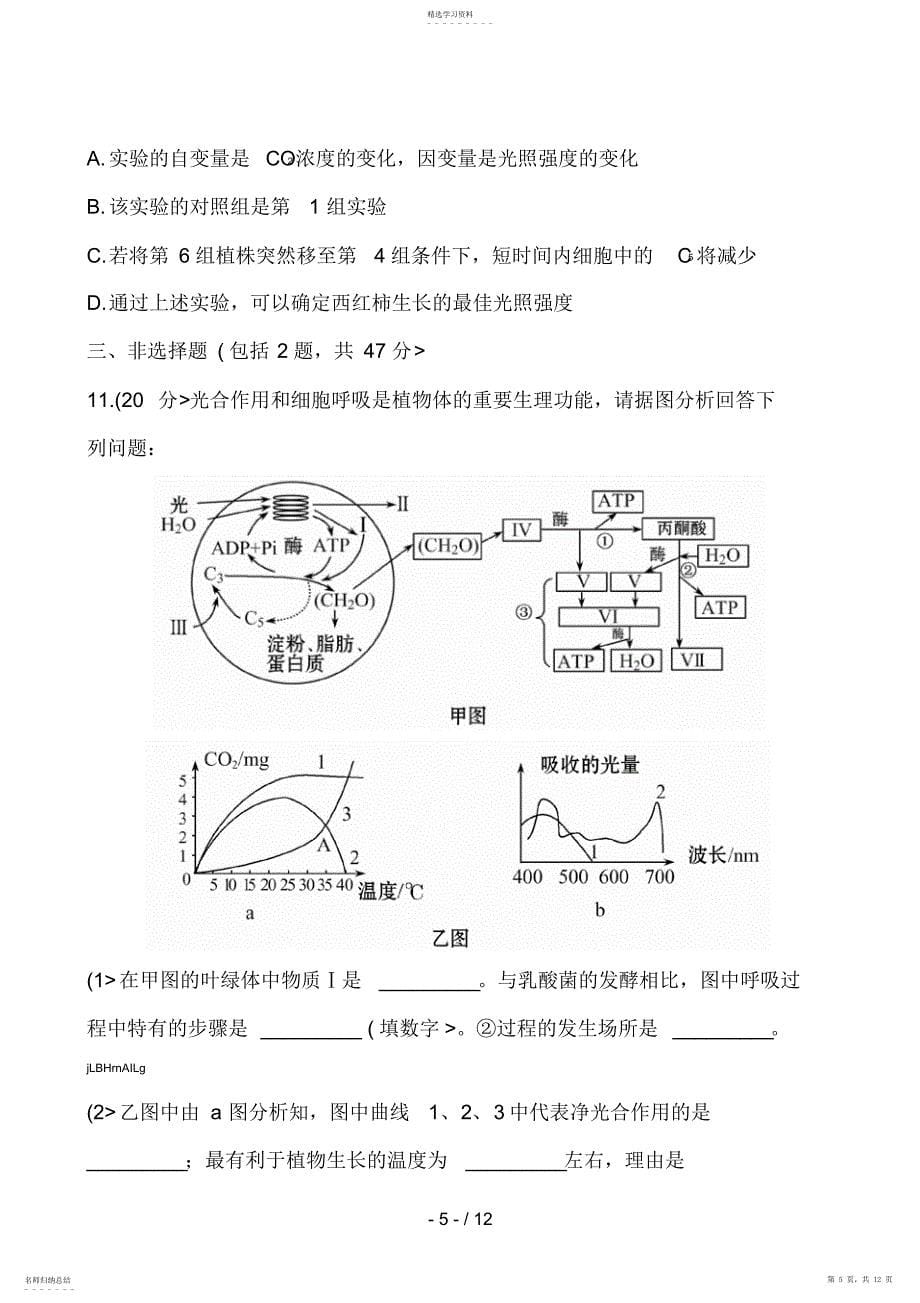 2022年能量之源——光与光合作用_第5页