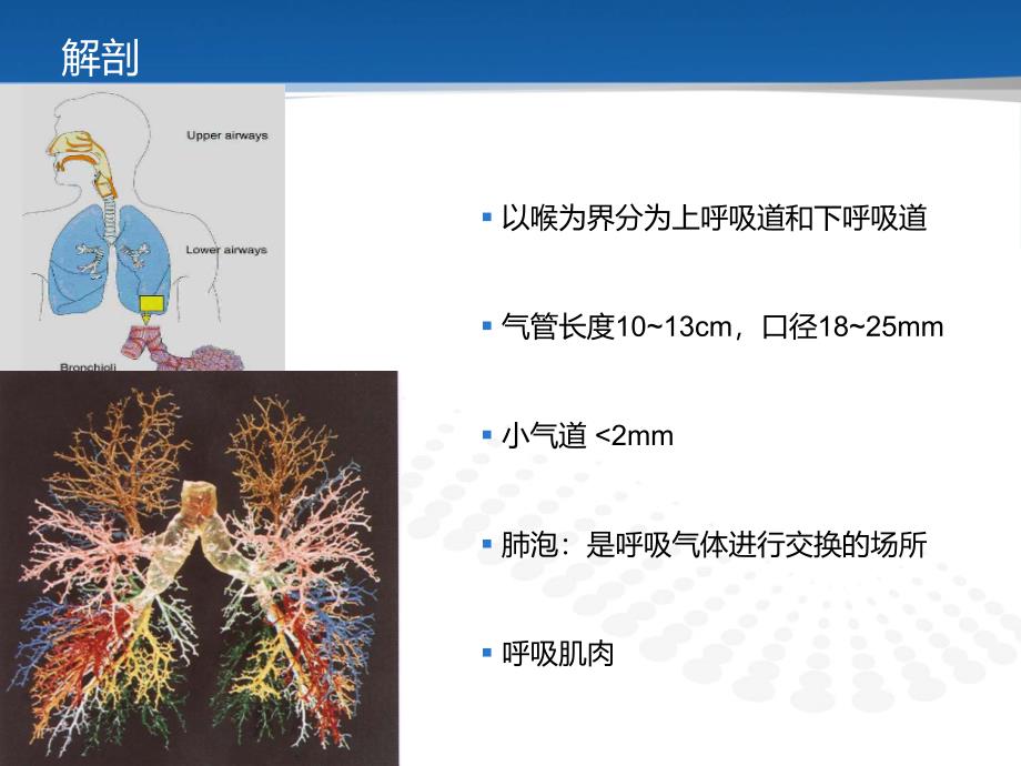 呼吸衰竭生理机制_第4页