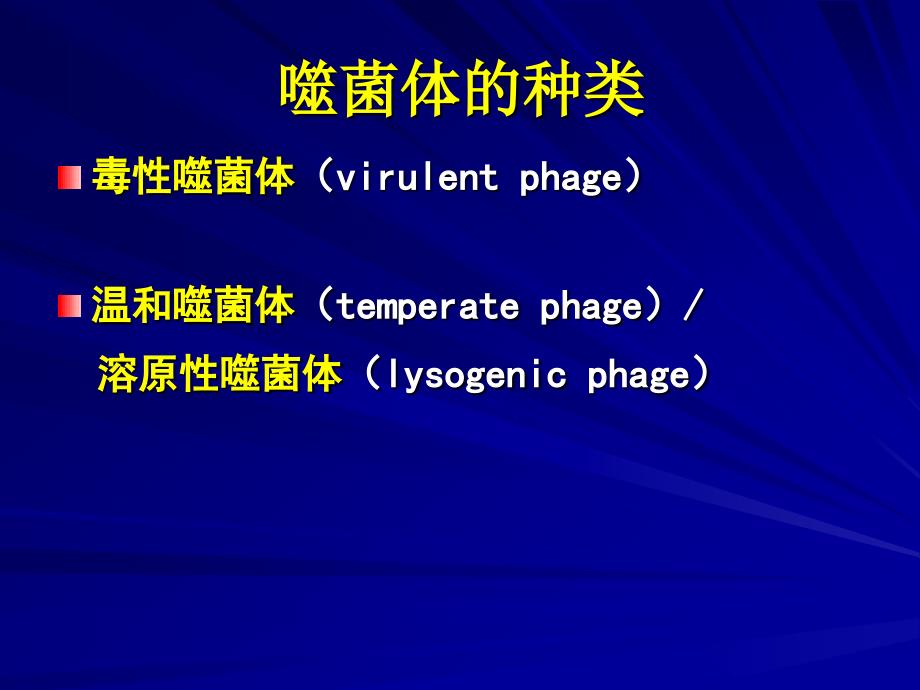 21噬菌体遗传与变异_第4页