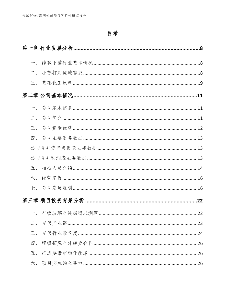 邵阳纯碱项目可行性研究报告_第1页