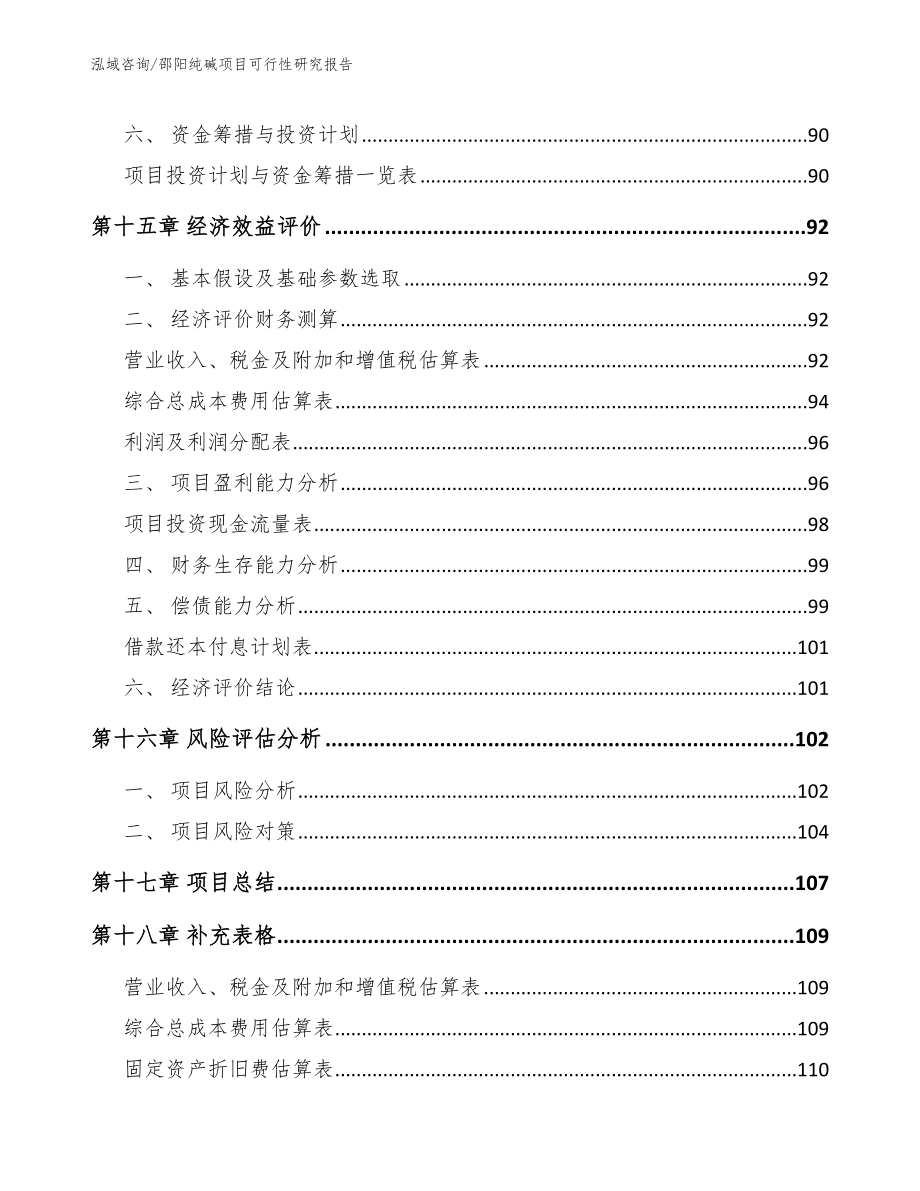 邵阳纯碱项目可行性研究报告_第5页