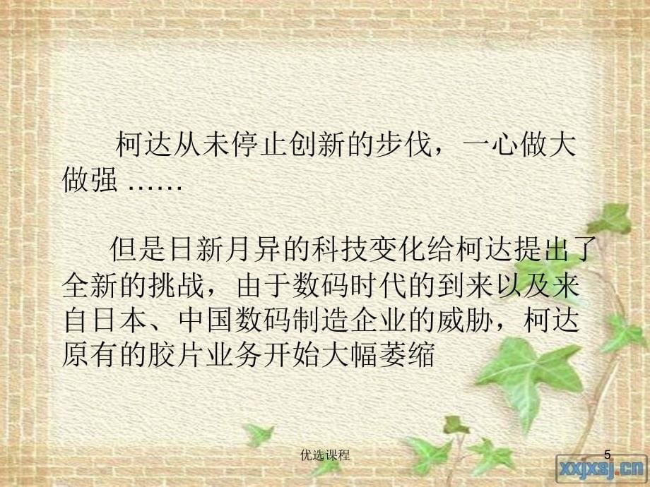 战略管理失败案例苍松书苑_第5页