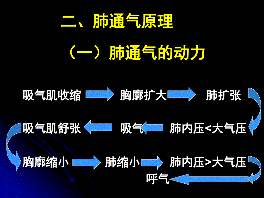 生理学ppt课件5.呼吸_第5页