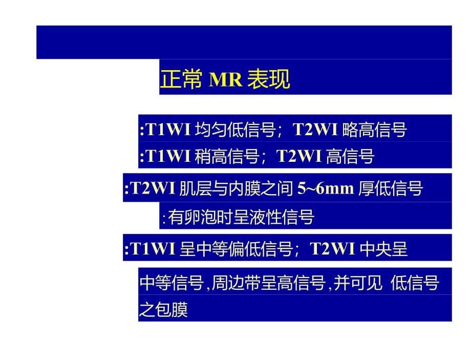 盆腔核磁共振(MRI)读片基础_第5页