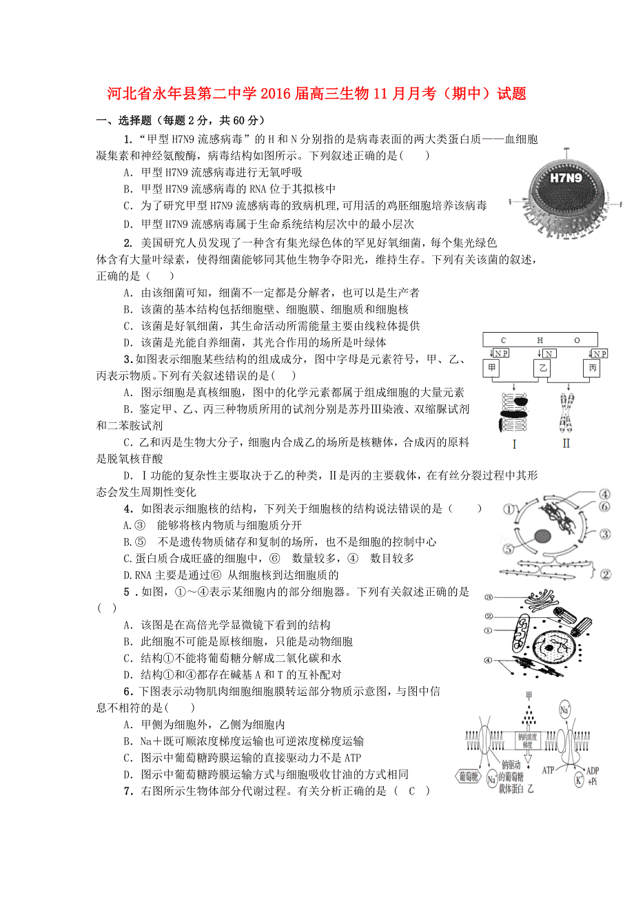 河北省永年县第二中学2016届高三生物11月月考期中试题_第1页