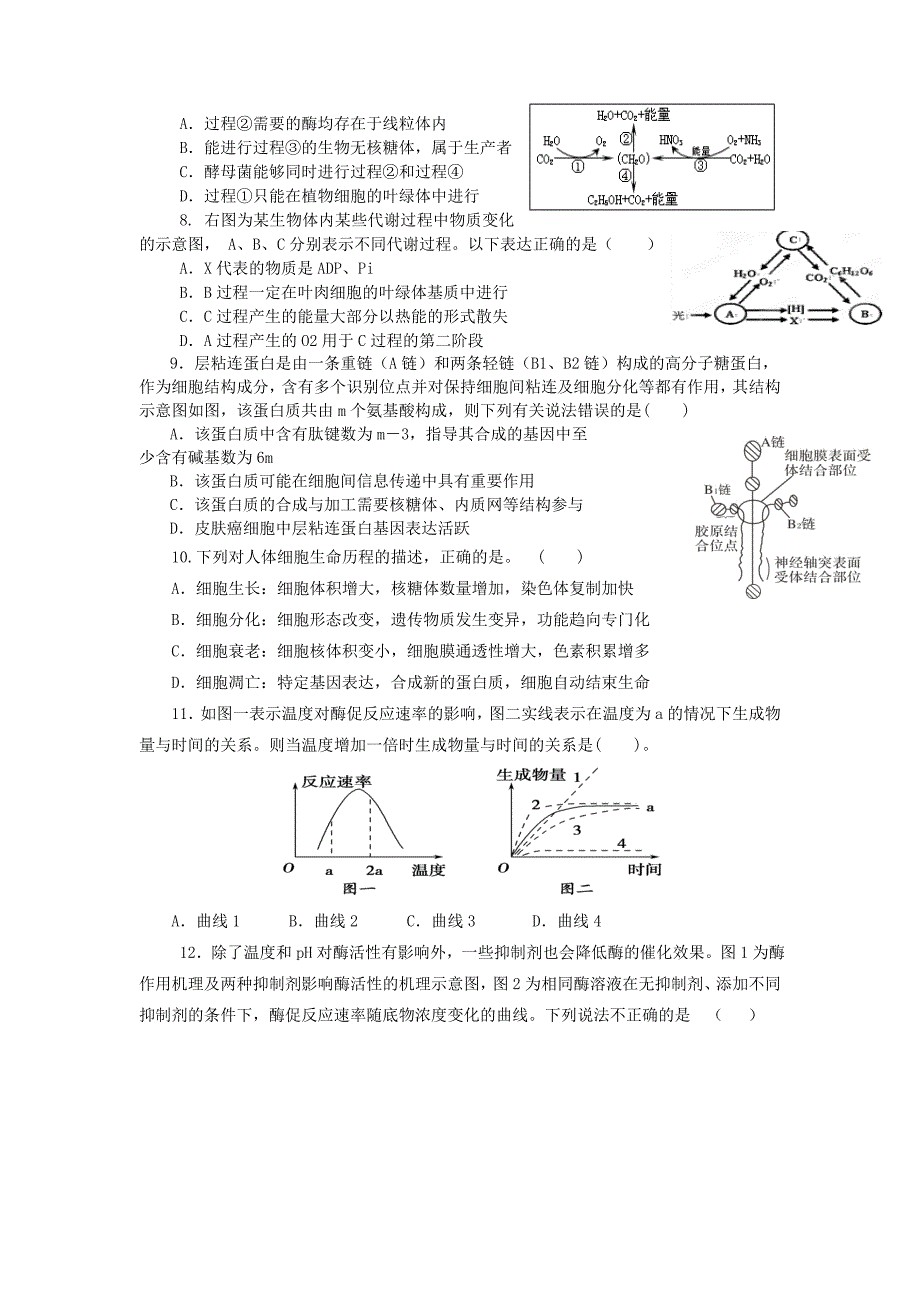 河北省永年县第二中学2016届高三生物11月月考期中试题_第2页