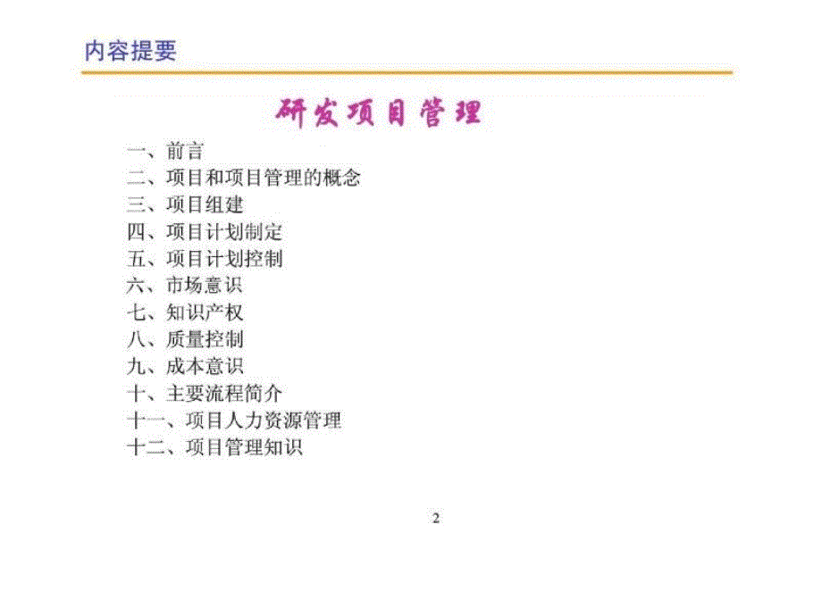 项目研发管理报告_第2页