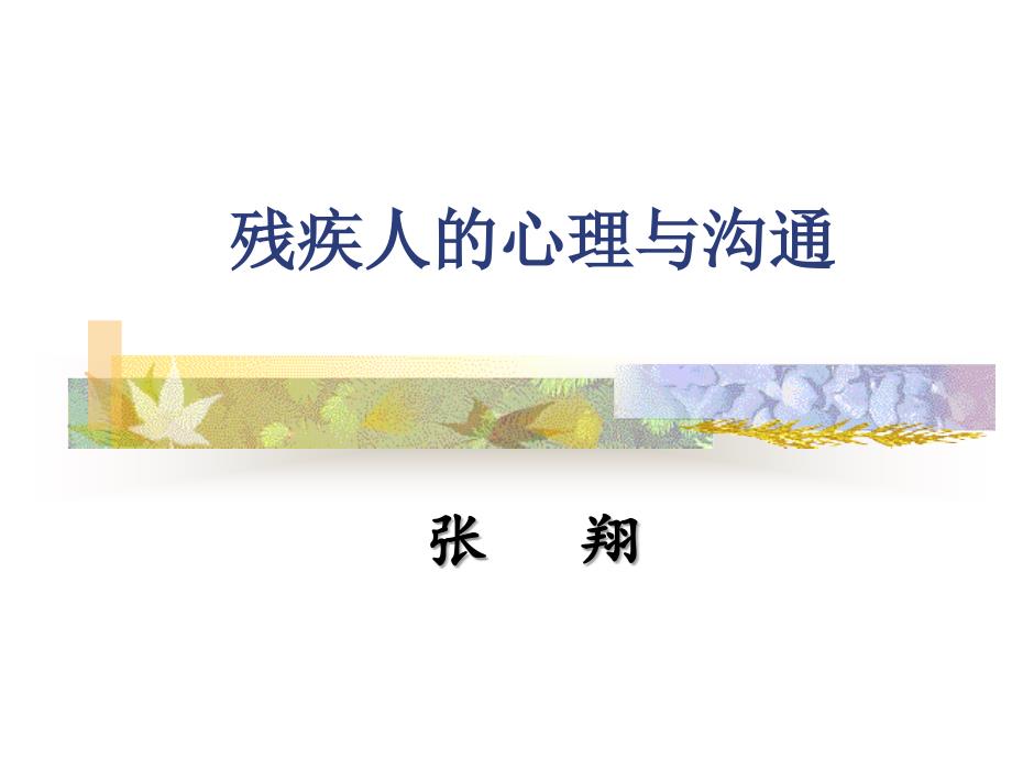 残疾人的心理与沟通培训教材课件_第1页