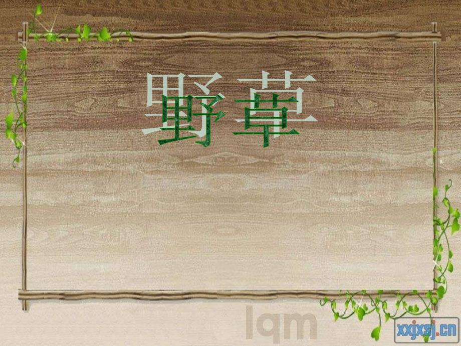 北师大版语第十二册野草ppt课件2_第1页