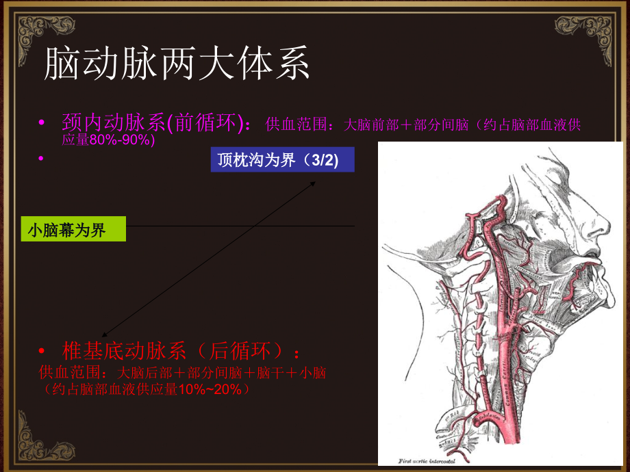 脑血管解剖及脑梗塞定位诊断.ppt_第4页