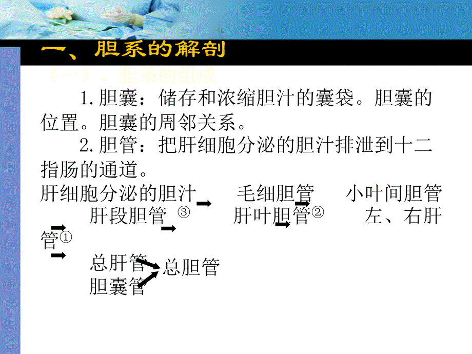 胆系疾病超声诊断.ppt_第3页