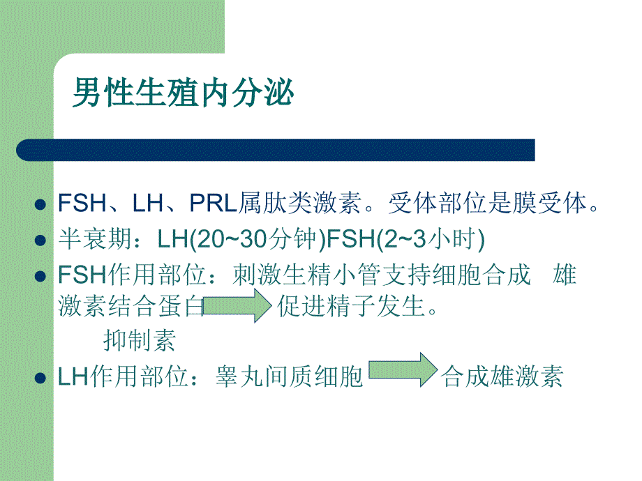 第三讲生殖内分泌_第4页