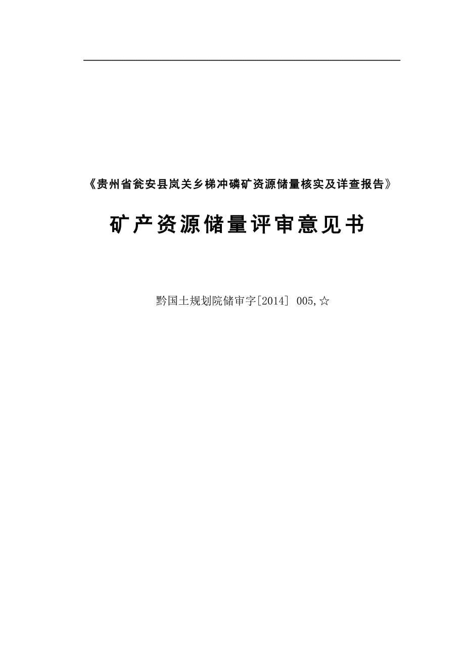 梯冲磷矿  矿业权出让收益计算结果的报告.docx_第5页