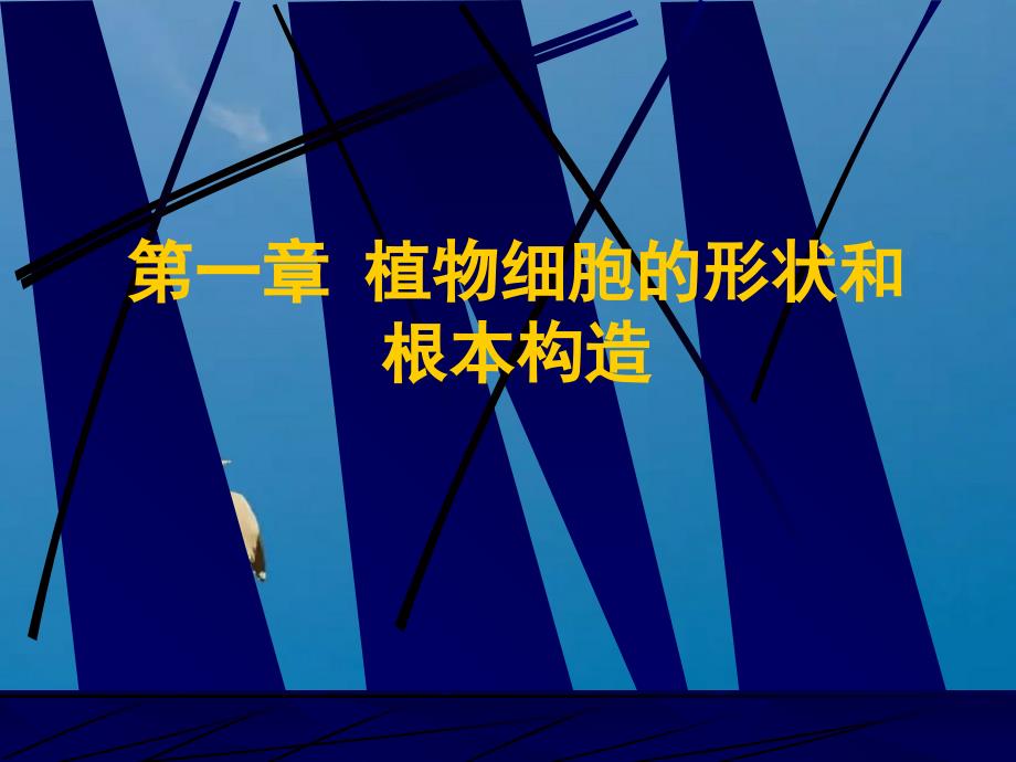 植物细胞的形态和基本结构ppt课件_第1页