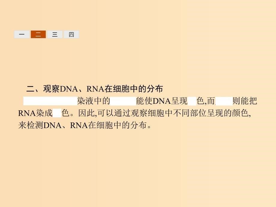 2018-2019高中生物 第2章 细胞的化学组成 2.3.3 核酸、脂质课件 北师大版必修1.ppt_第5页