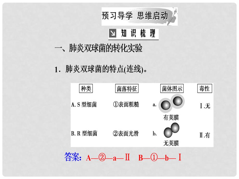 高中生物 第三章 基因的本质 第1节 DNA是主要的遗传物质课件 新人教版必修2_第3页